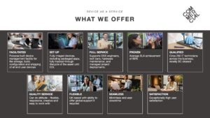 What We Offer slide from the DaaS presentation displaying a range of services